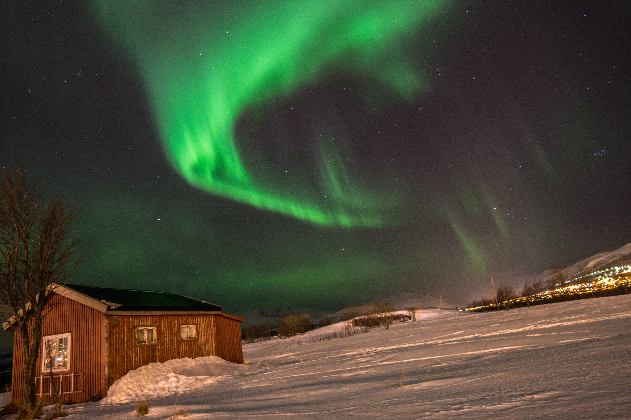 Samyang 14mm F2.8 ED AS IF UMC sample photo. Aurora borealis photography