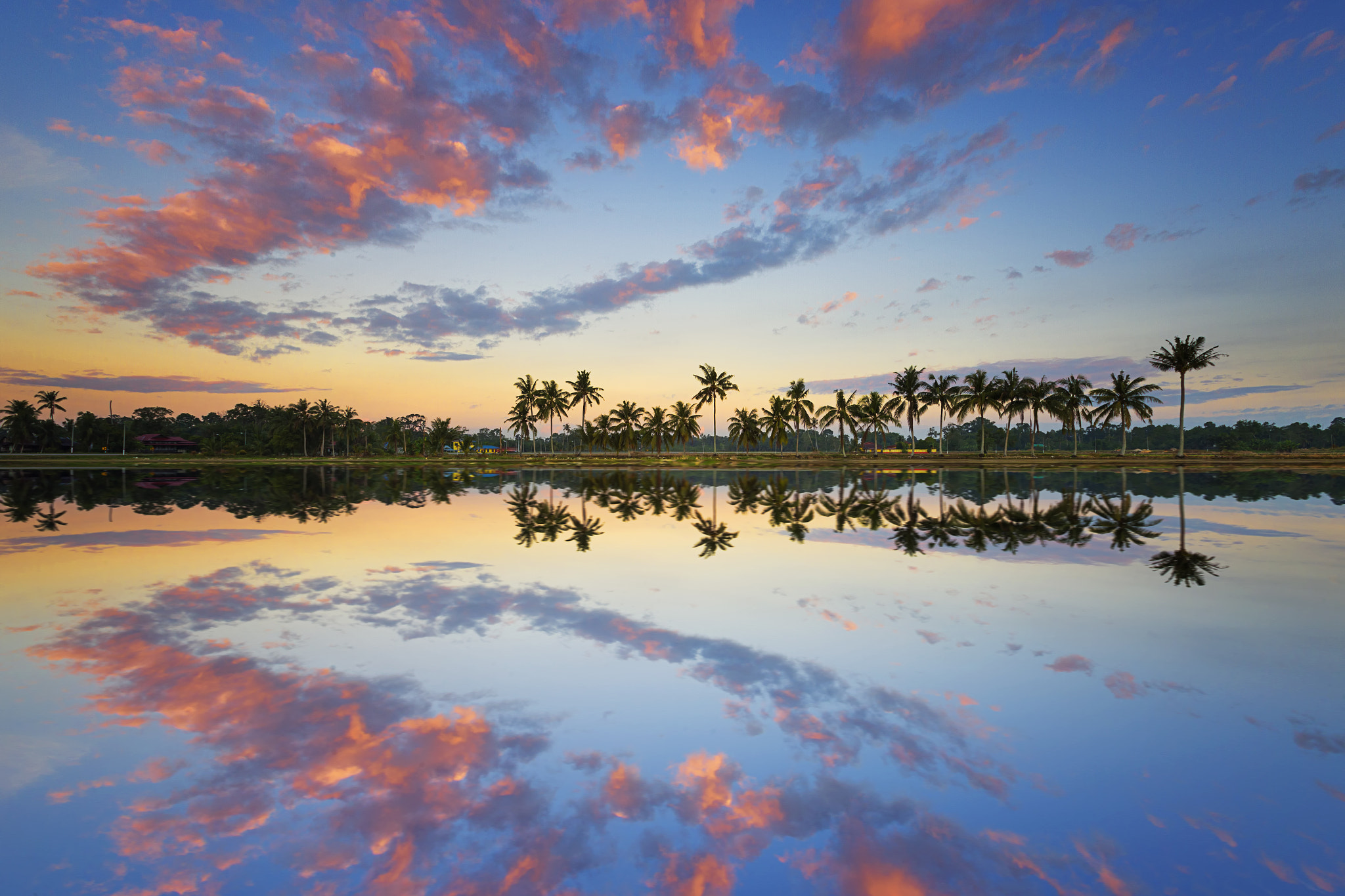 Canon EOS 6D + Canon EF 16-35mm F2.8L USM sample photo. Reflection on paddy field during sunset photography