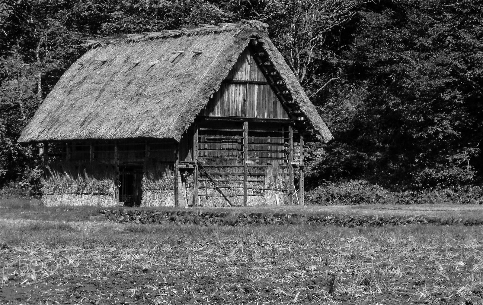 Olympus u700,S700 sample photo. Thatched shed photography