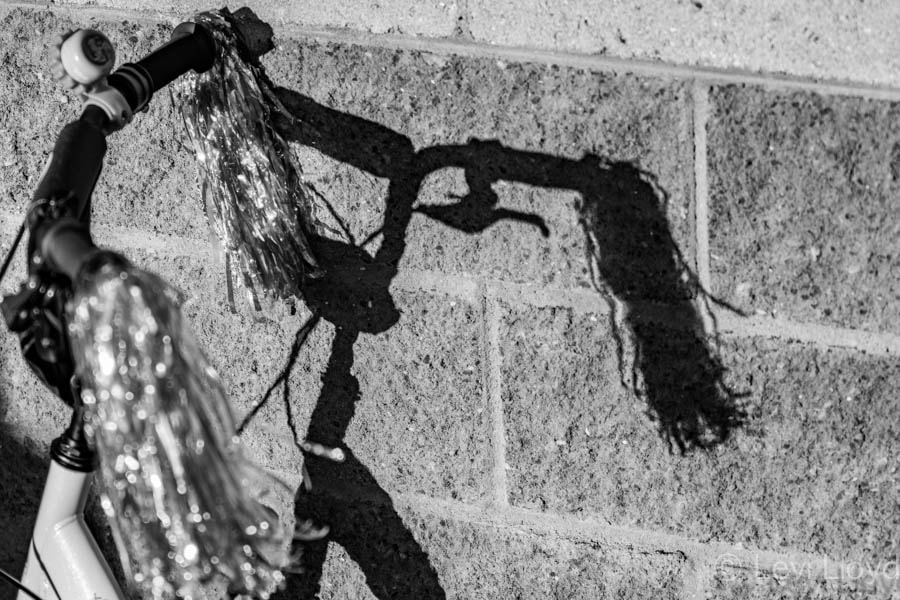 Sigma 70-200mm F2.8 EX DG OS HSM sample photo. Shadow photography