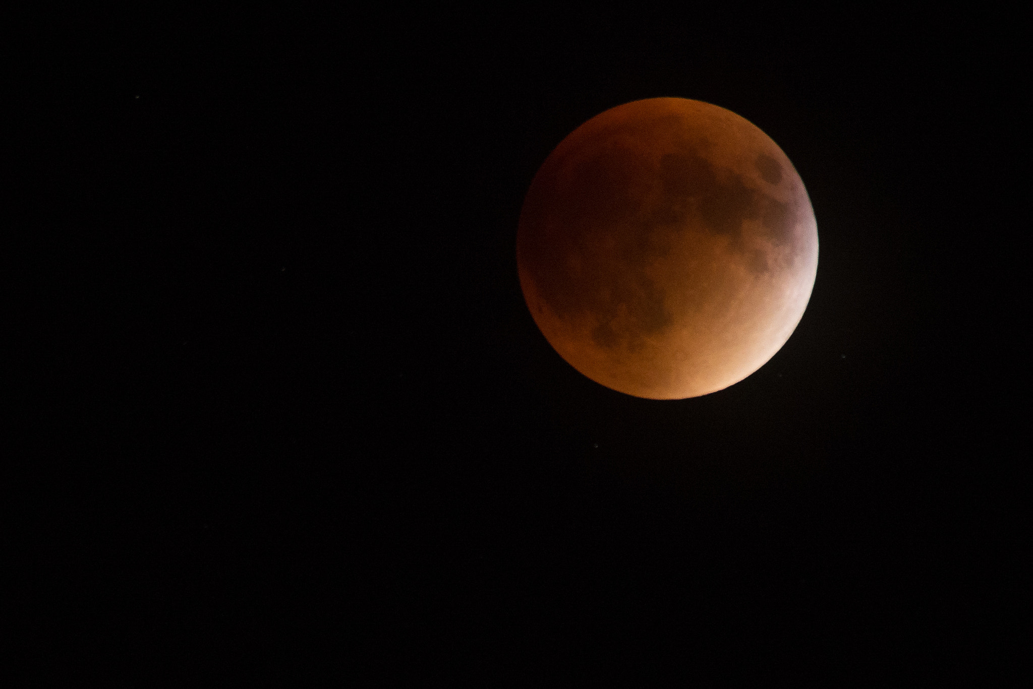Sigma 50-500mm F4.5-6.3 DG OS HSM sample photo. Bloodmoon photography