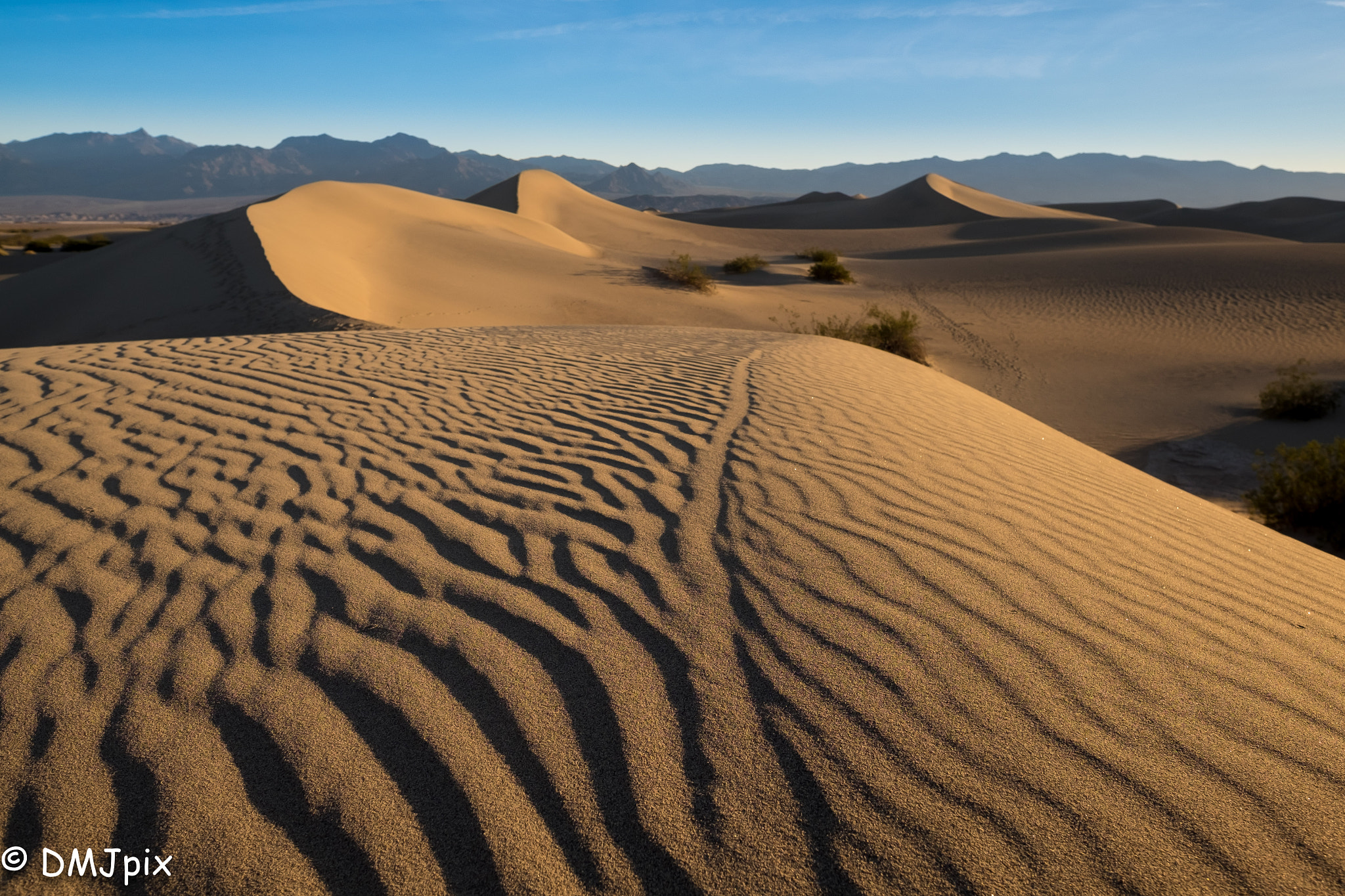 Mesquite Dunes Ripples.jpg