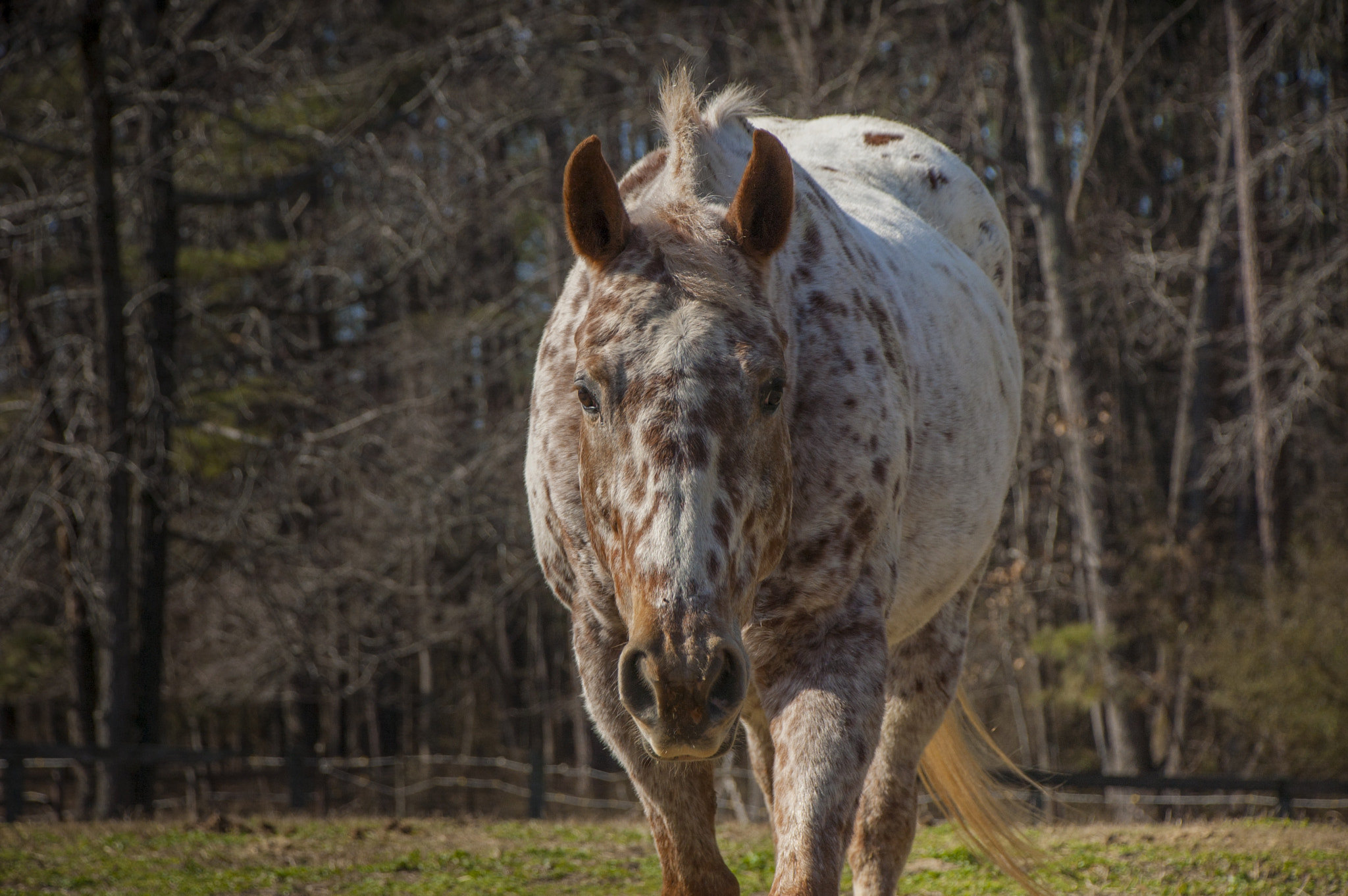 Nikon D40 sample photo. Girlfriend photography