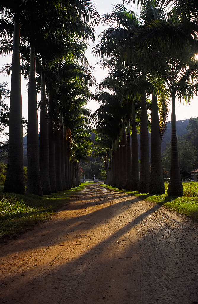 Bananal - centennial farm by Paulo Uemura / 500px