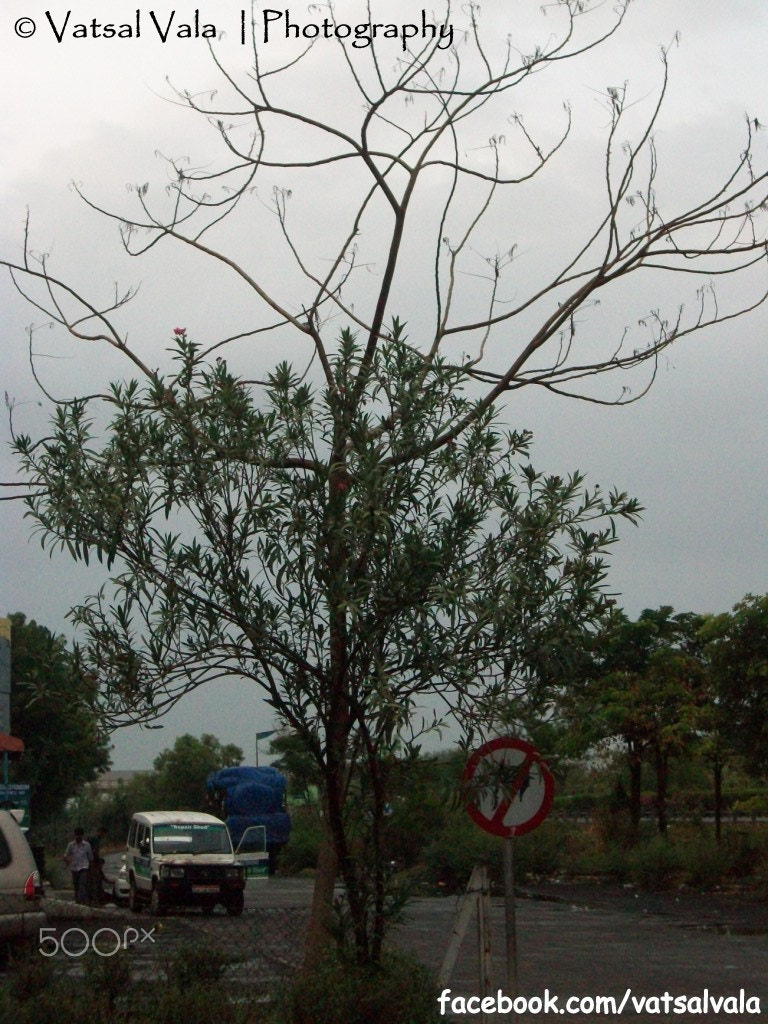 Kodak EASYSHARE M320 DIGITAL CAMERA sample photo. National highway photography