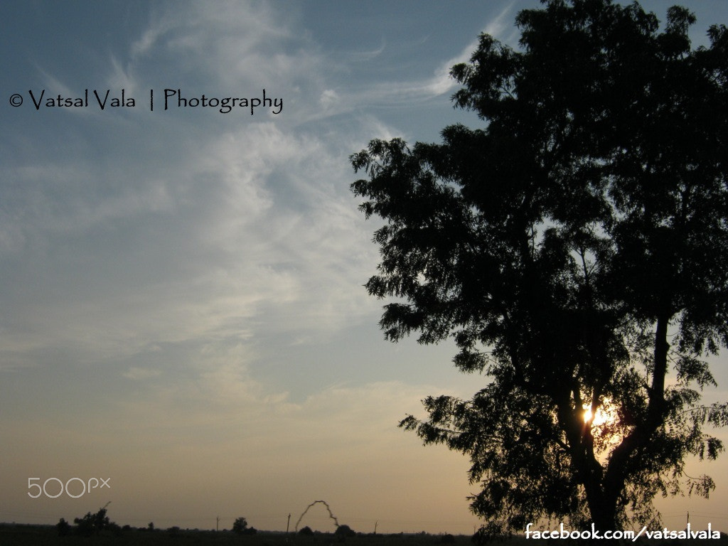 Canon PowerShot A490 sample photo. On road photography