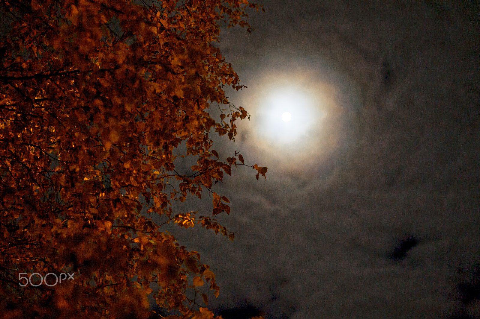 Canon EF 28-80mm f/3.5-5.6 sample photo. Autumn poems photography