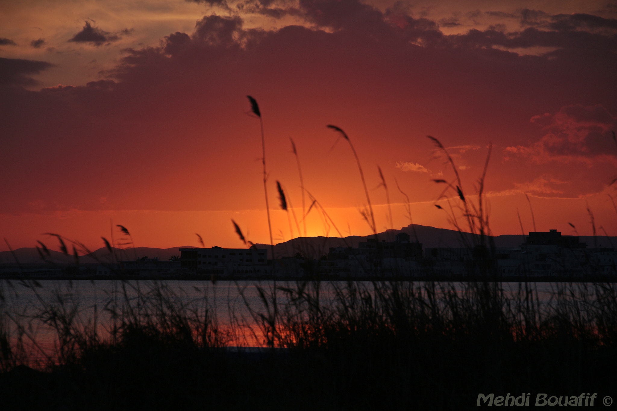 Canon EOS 650D (EOS Rebel T4i / EOS Kiss X6i) sample photo. Florida - kélibia photography
