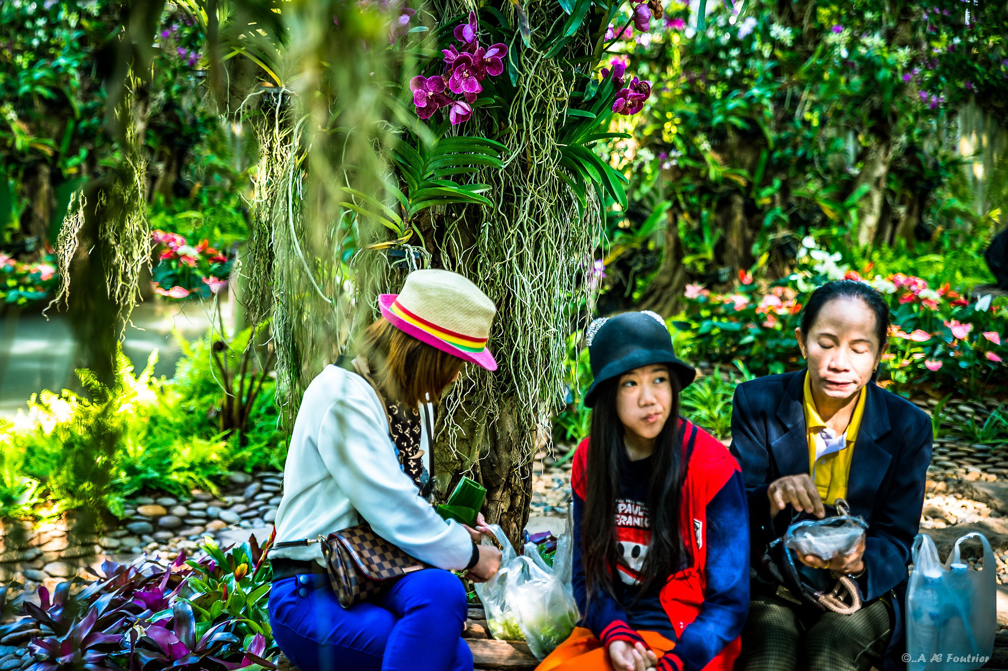 Nikon Df sample photo. Les trois cors photography