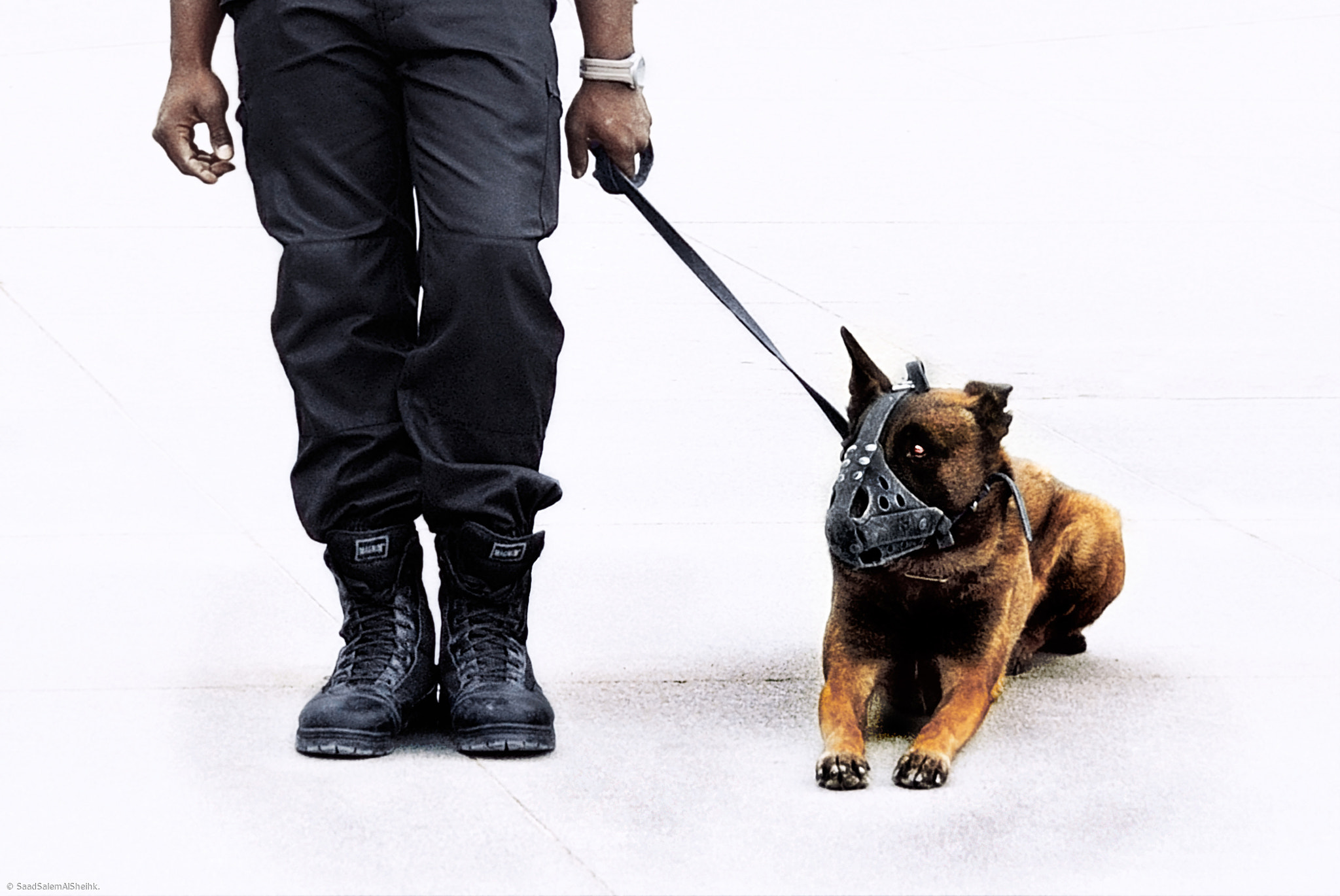 Nikon D3 sample photo. Authorities. photography