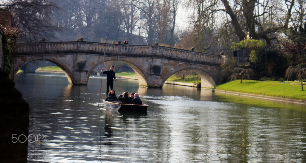 Sony SLT-A55 (SLT-A55V) sample photo. On the river cam. cambridgeshire, uk. photography