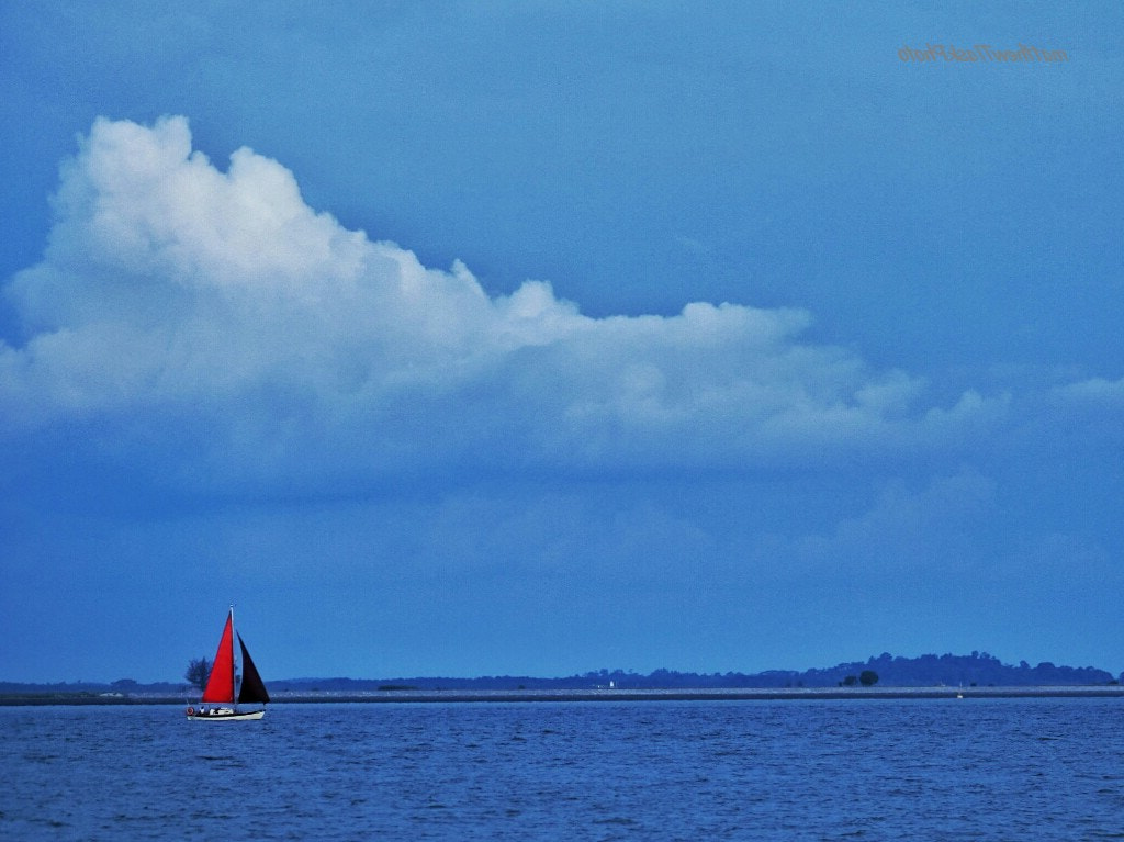 CASIO EX-100 sample photo. Sailing photography