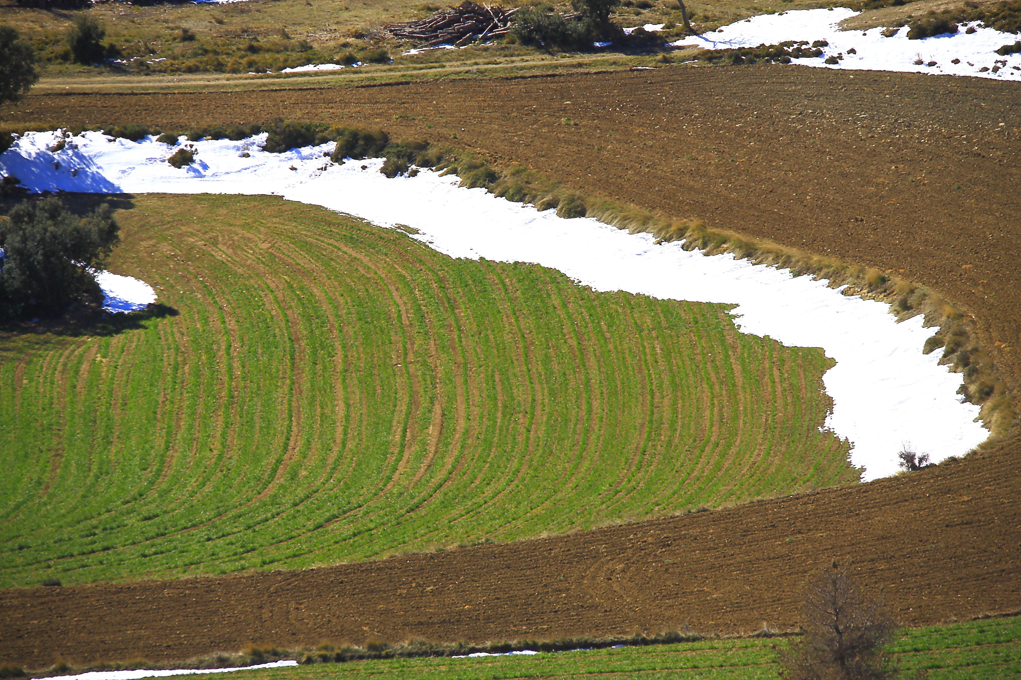Sigma 150-500mm F5-6.3 DG OS HSM sample photo. Green landscape photography