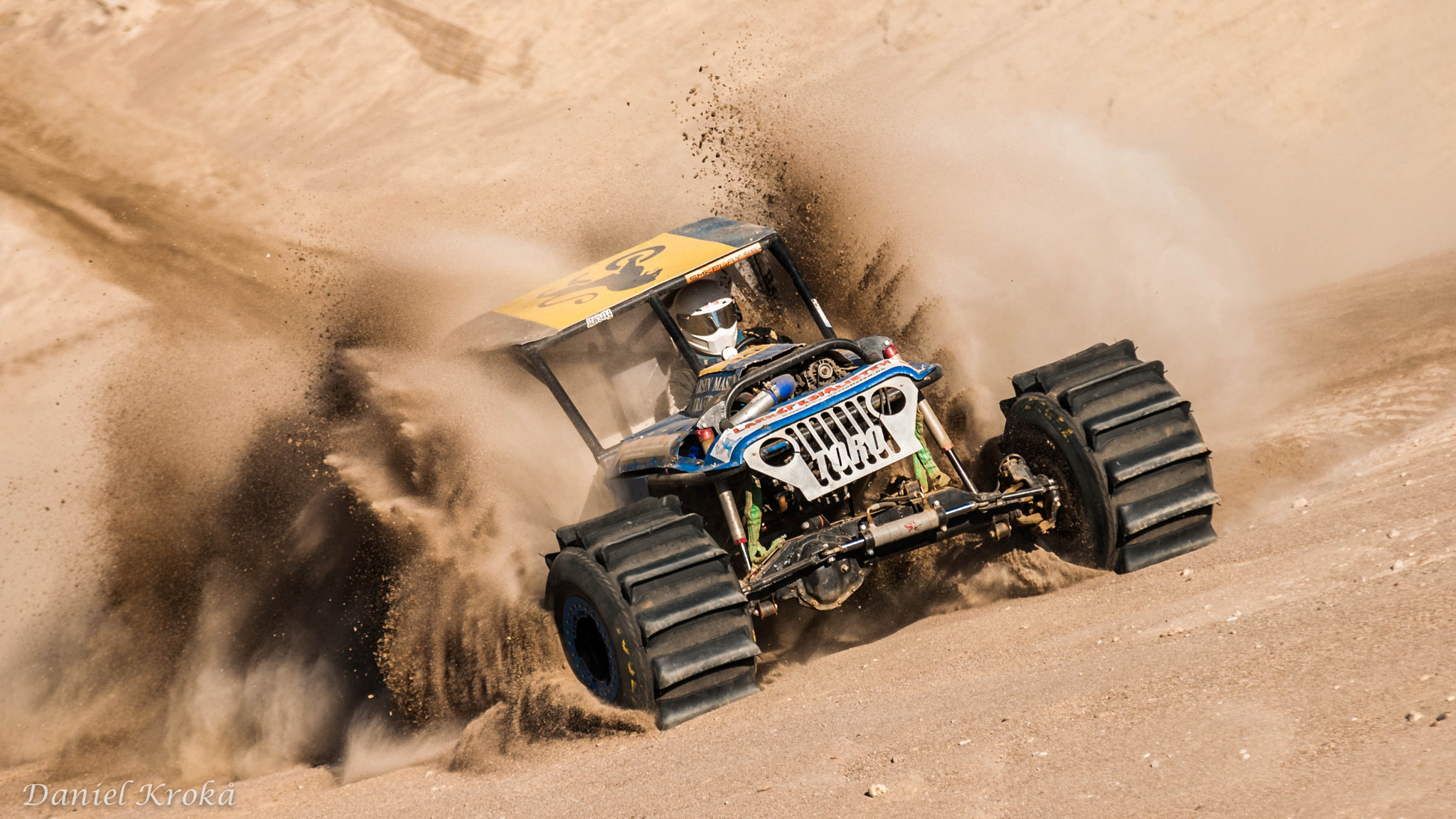 Sigma 70-200mm F2.8 EX DG Macro HSM II sample photo. Toro in the sand hills photography