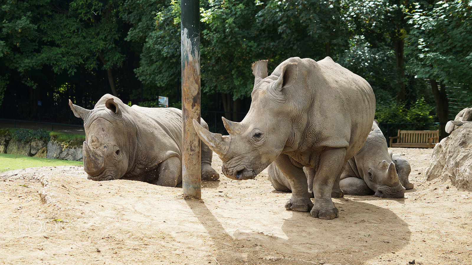 Sony SLT-A57 + Sony DT 55-200mm F4-5.6 SAM sample photo. | zoo beauval | photography