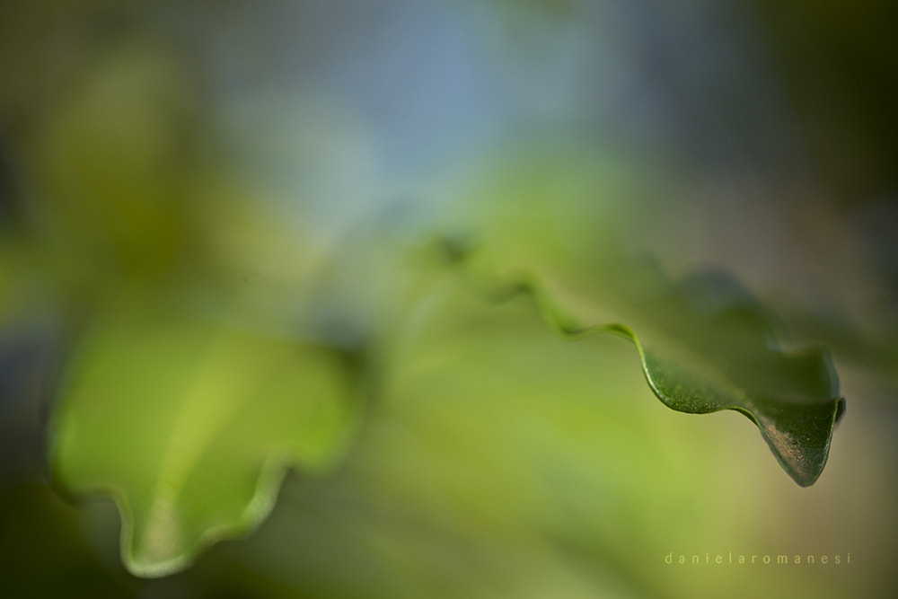 Sony a7R + Canon EF 100mm F2.8L Macro IS USM sample photo. Waves photography