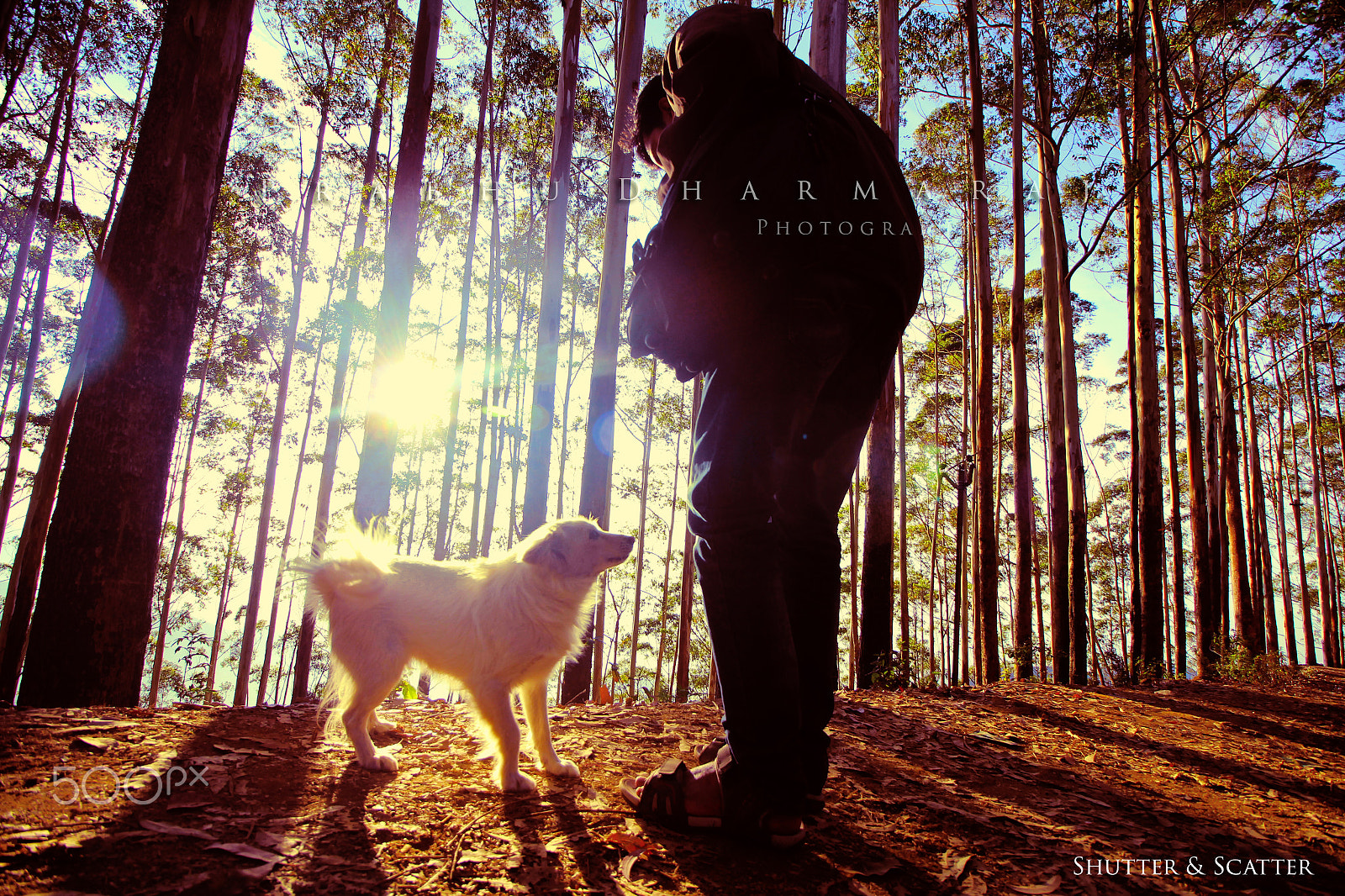 Canon EOS 60D + Canon EF 135mm F2.8 SF sample photo. Love animals photography