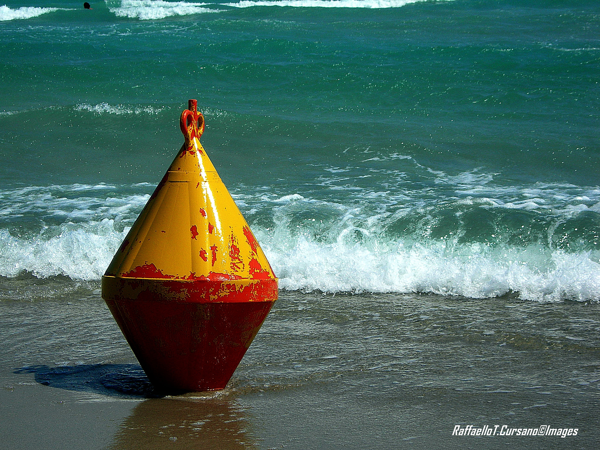 Nikon E7600 sample photo. Boa. photography