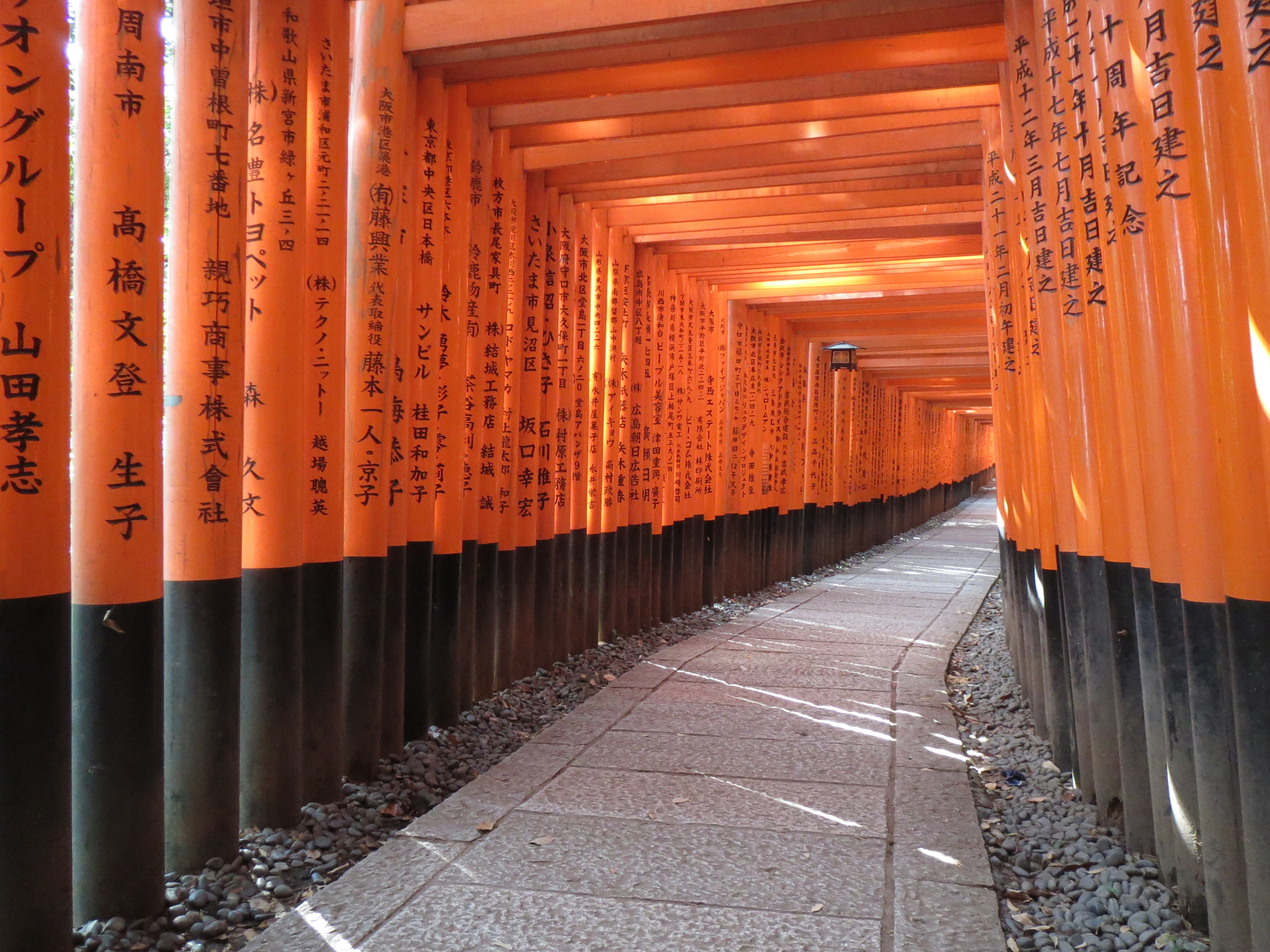 Canon PowerShot ELPH 520 HS (IXUS 500 HS / IXY 3) sample photo. Kyoto torii - 2 photography