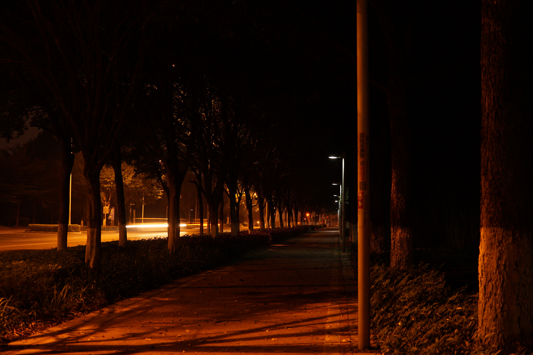 Sony a5100 + Sigma 30mm F2.8 EX DN sample photo. Night road photography