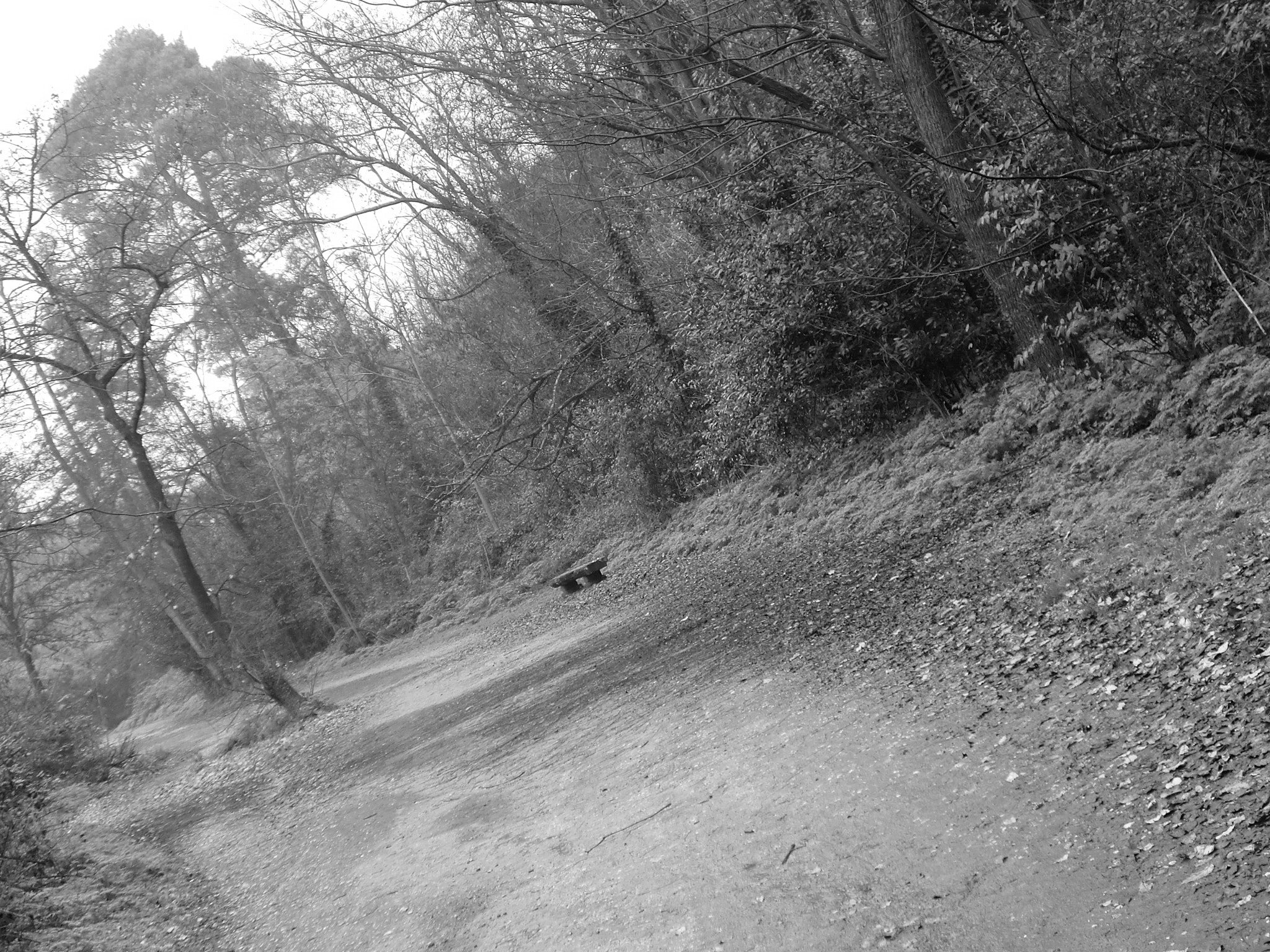 CASIO EX-Z90 sample photo. Villa ada photography