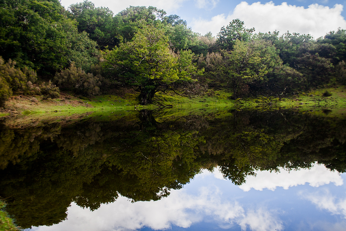 Canon EF-S 18-55mm F3.5-5.6 sample photo. Landscape 1 photography