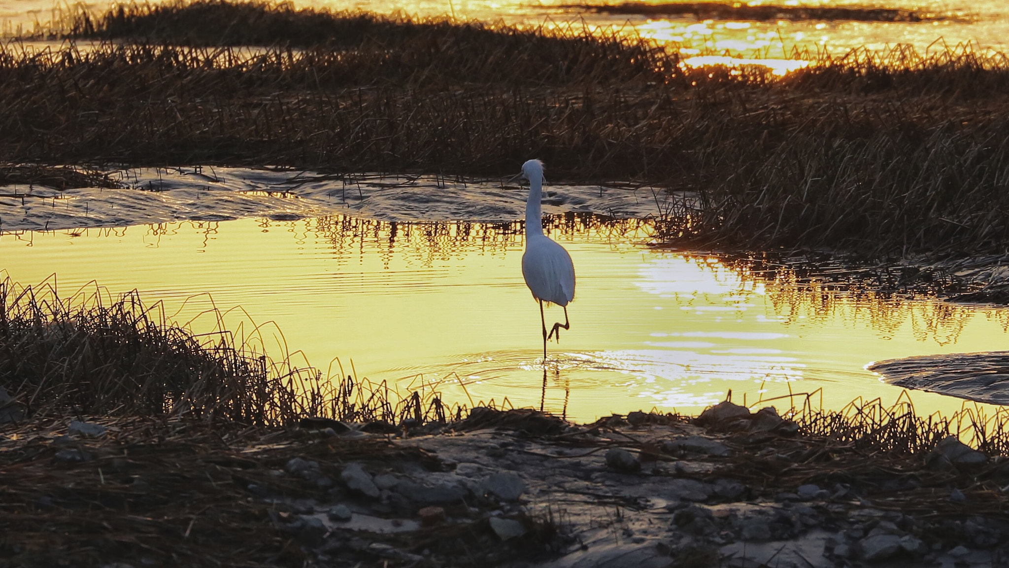 Canon EF 70-300mm F4-5.6L IS USM sample photo