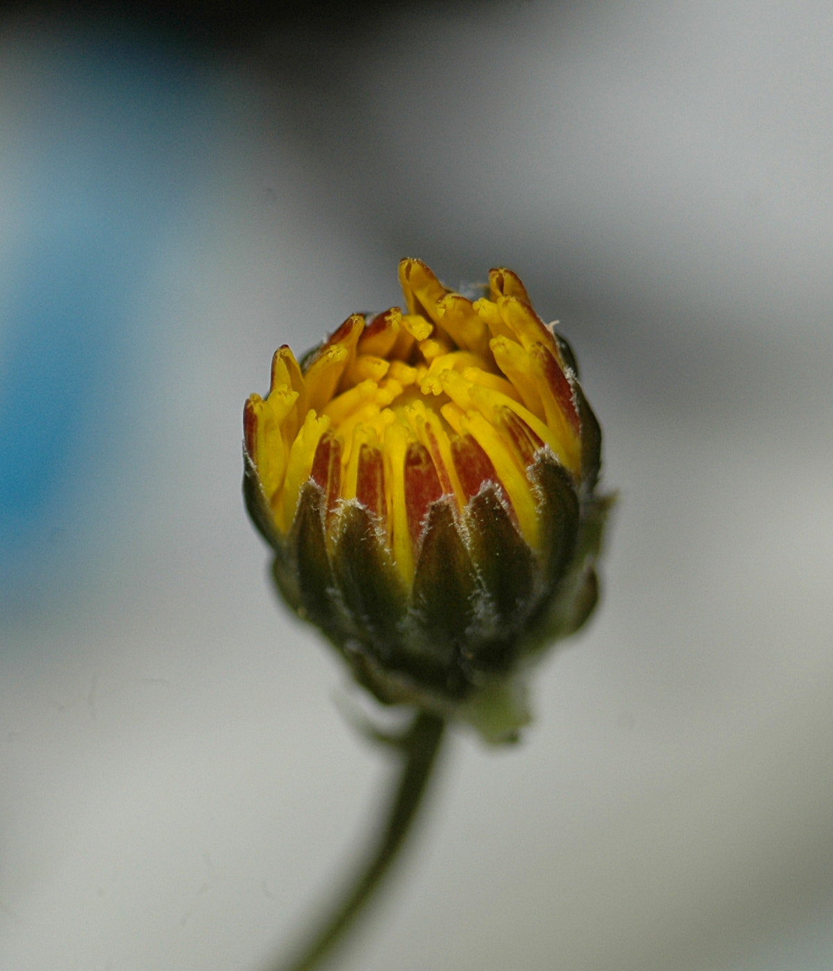 AF Zoom-Nikkor 35-70mm f/3.3-4.5 N sample photo. # photography