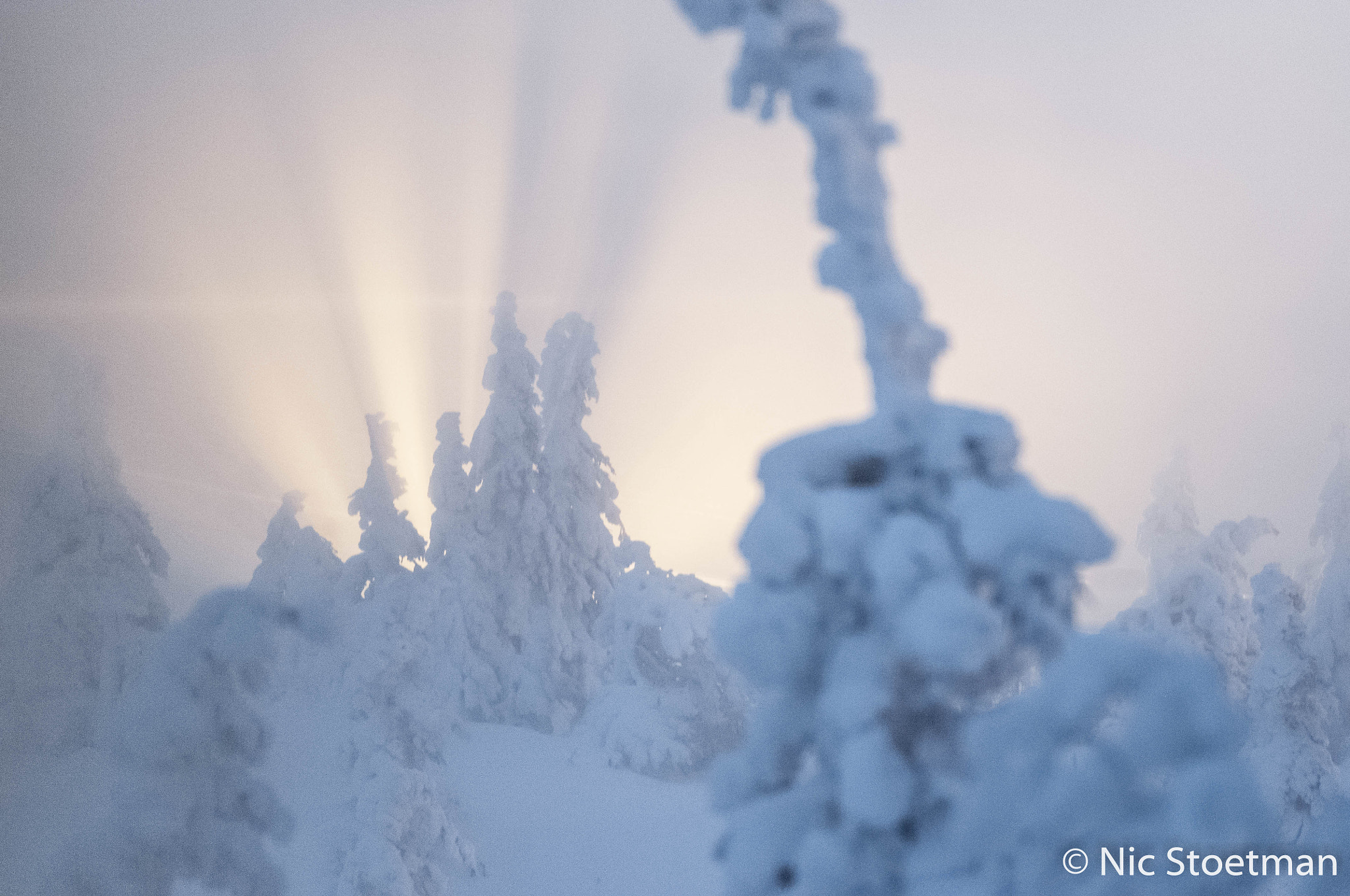 Nikon D300 + Nikon AF-S Nikkor 70-200mm F4G ED VR sample photo. Finland, iso-syöte, winter 10 photography