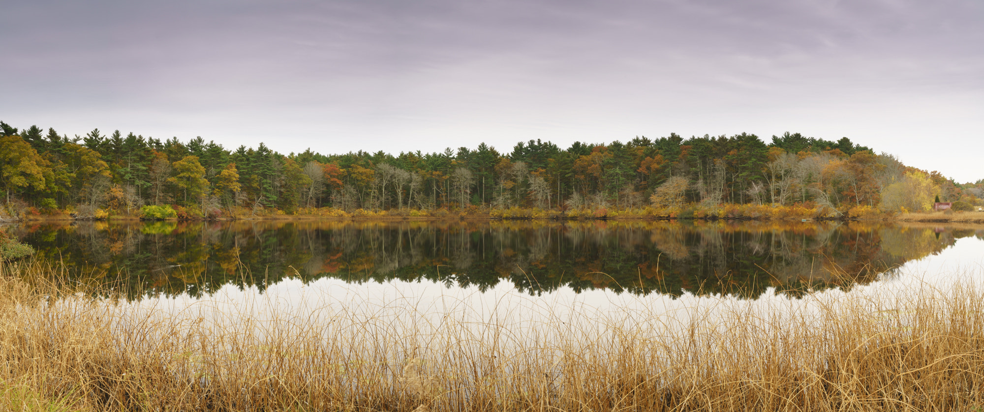 Sony a7R II + Canon EF 24-70mm F4L IS USM sample photo. Reflections on fall photography