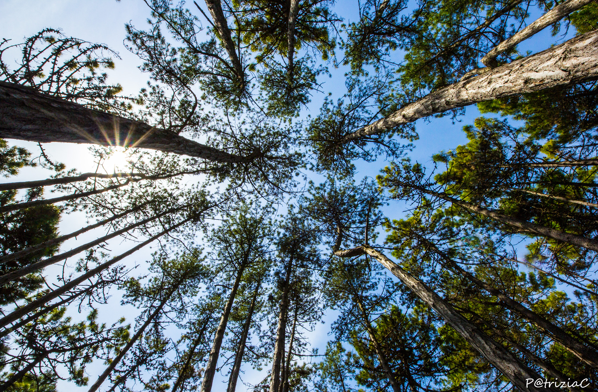 Sigma 8-16mm F4.5-5.6 DC HSM sample photo. #nasoall'insù# photography
