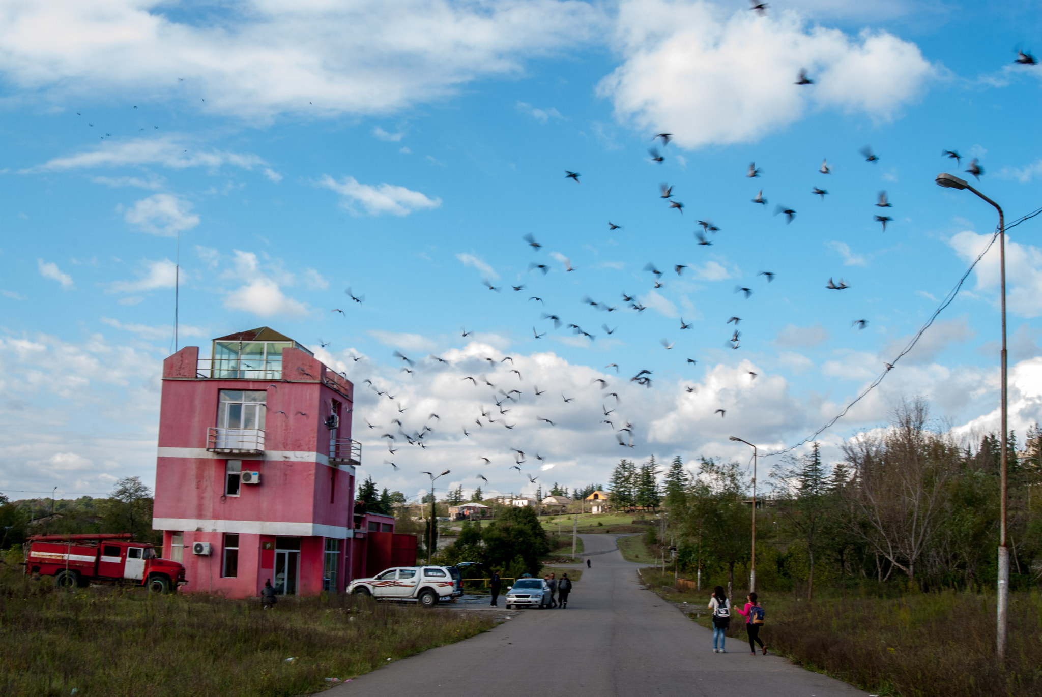 AF Zoom-Nikkor 28-70mm f/3.5-4.5 sample photo. Pigeons photography