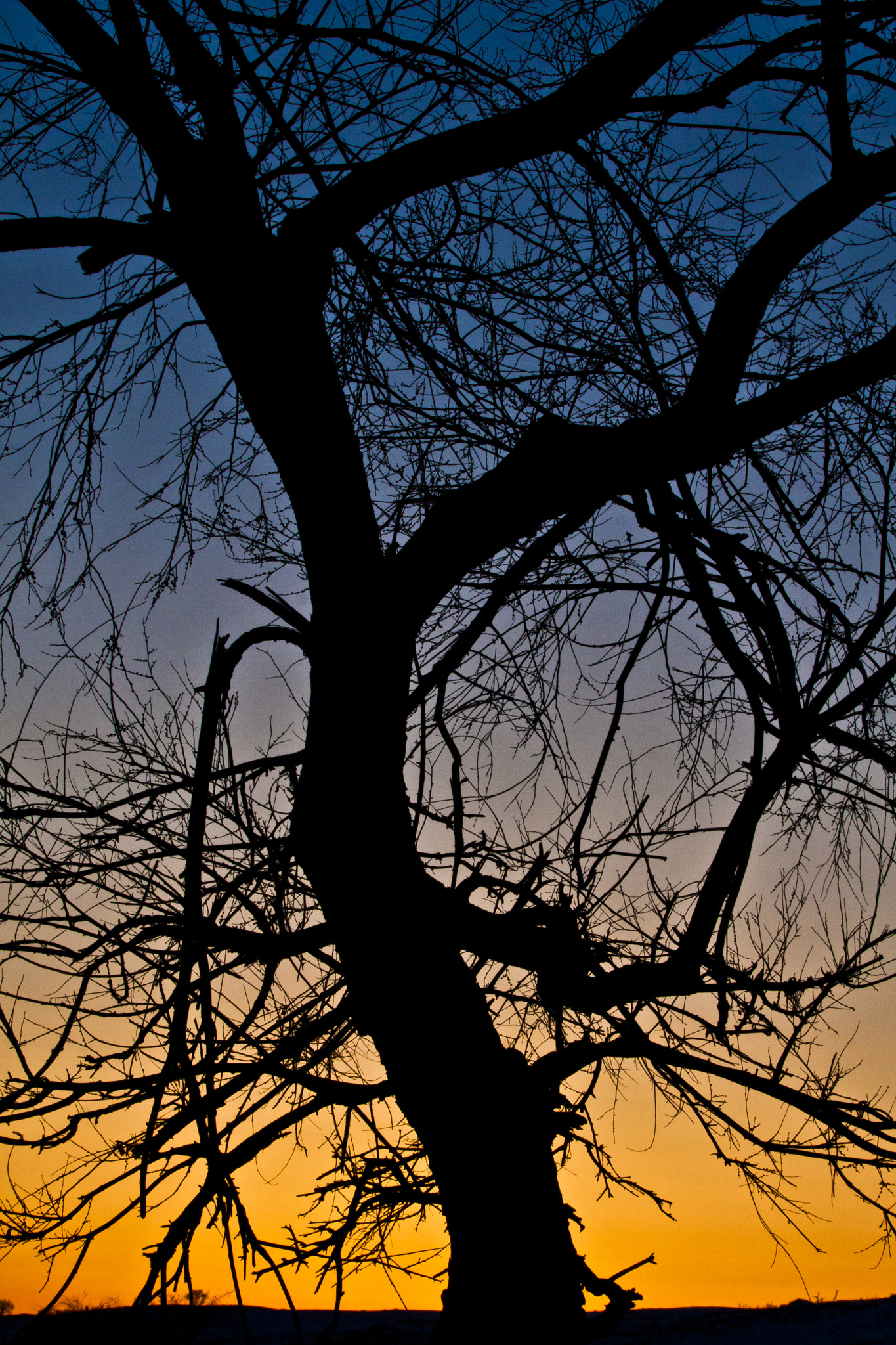 Canon EF 70-200mm F2.8L IS II USM sample photo. 夕阳剪影 photography