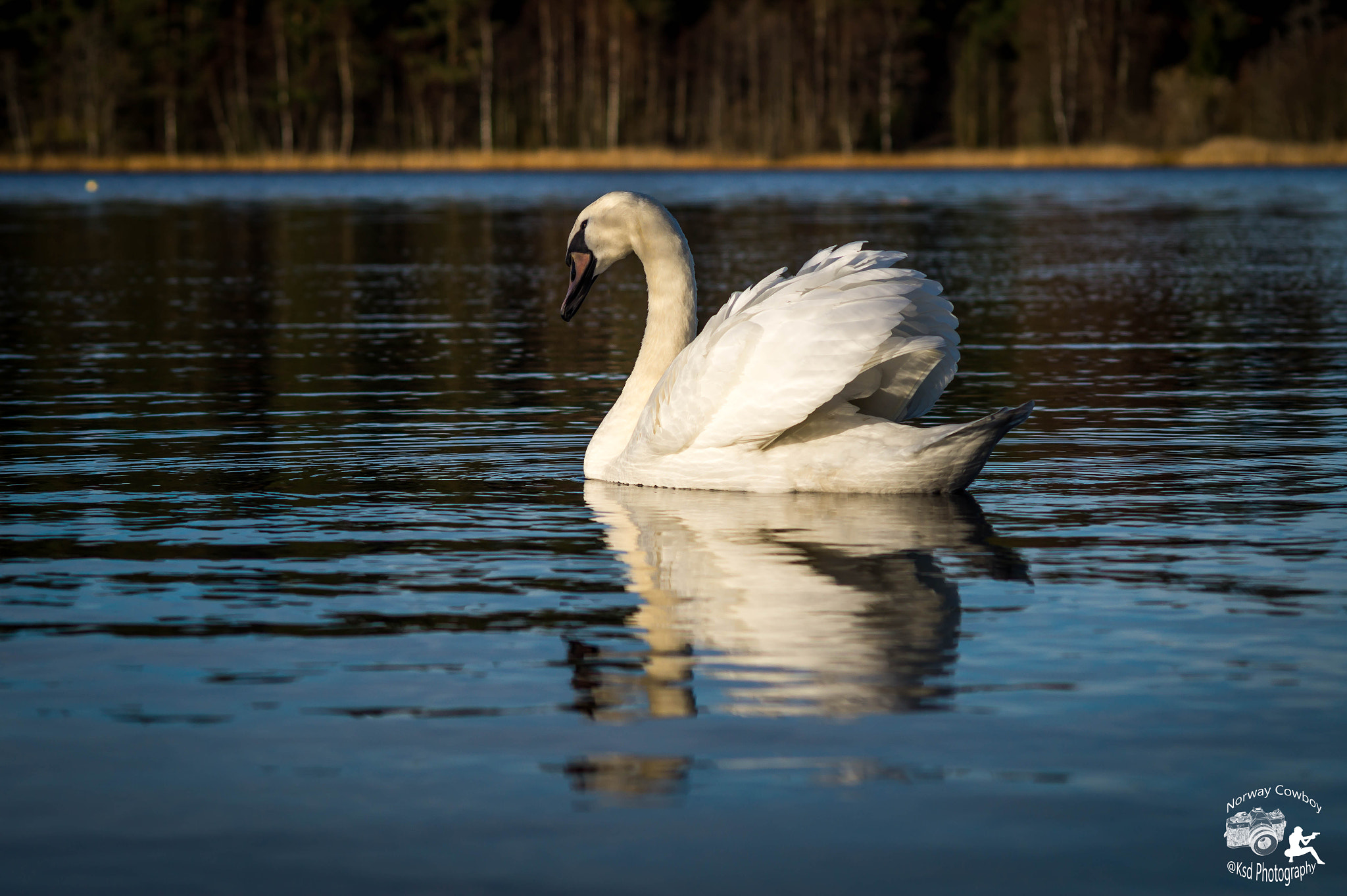 Sigma 70-300mm F4-5.6 DL Macro sample photo. Edit photography