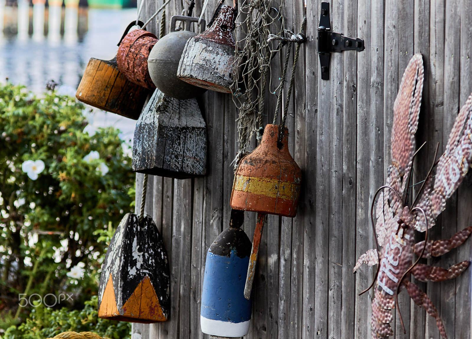 Canon EF 100-400mm F4.5-5.6L IS USM sample photo. Rustic bouys photography