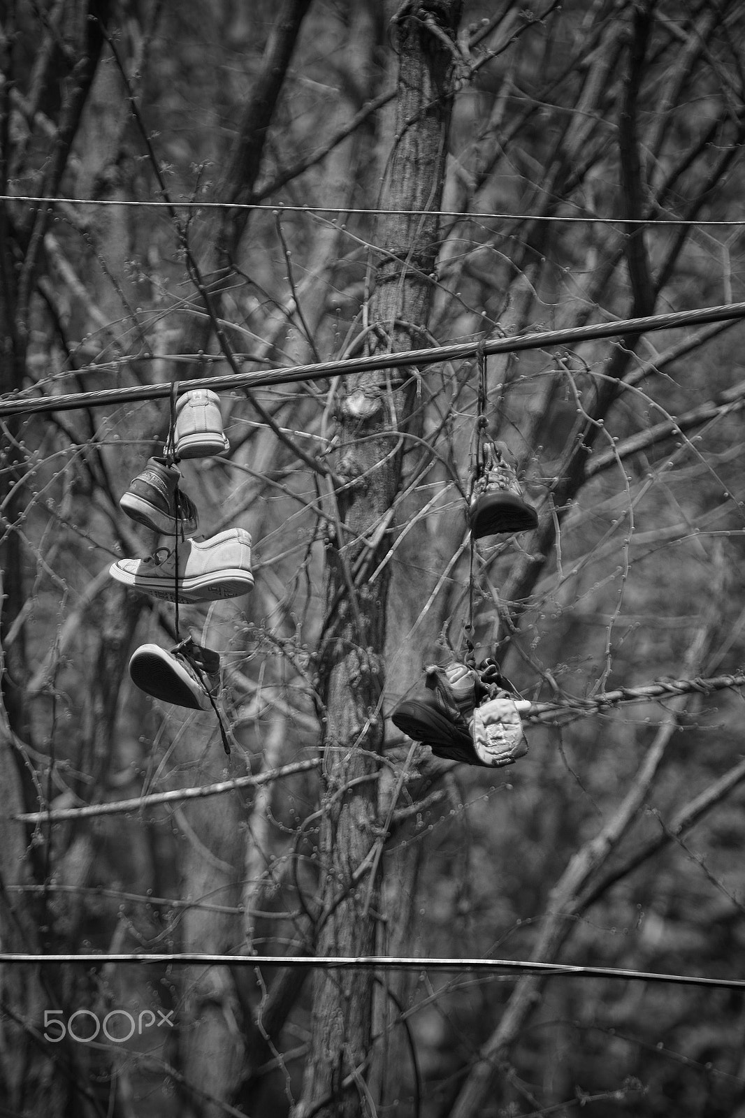 Canon EF 100-400mm F4.5-5.6L IS USM sample photo. Just some shoes hanging around photography