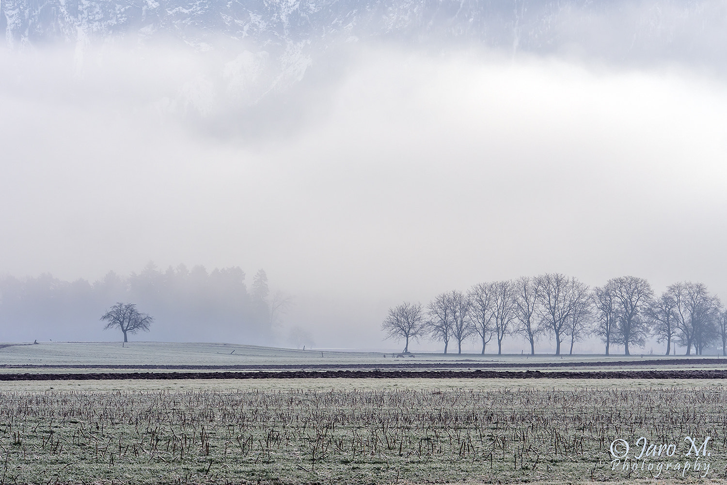 Panasonic Lumix G X Vario 35-100mm F2.8 OIS sample photo. Cold morning photography