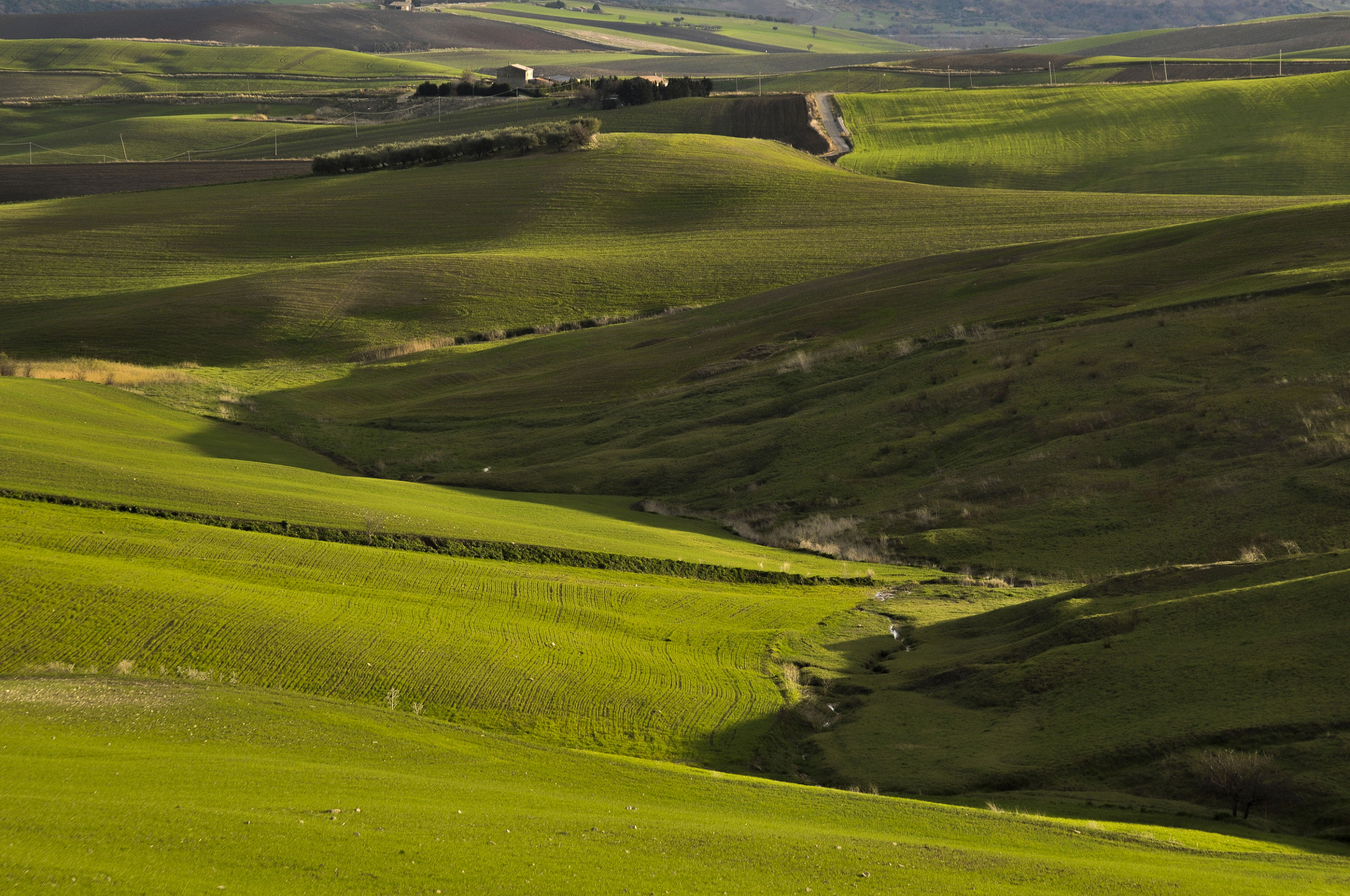 Sigma 24-135mm F2.8-4.5 sample photo. Terre del basso molise photography