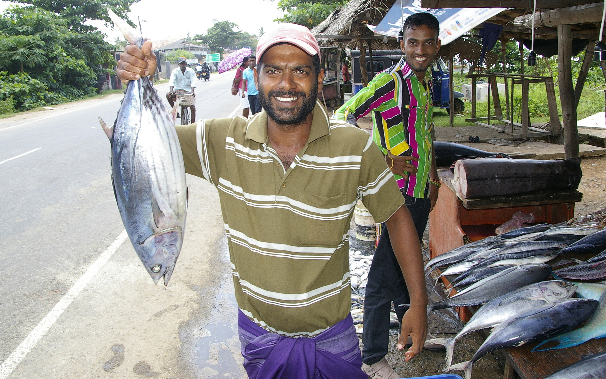 Pentax *ist DS sample photo. Sri lanka;  fish market photography