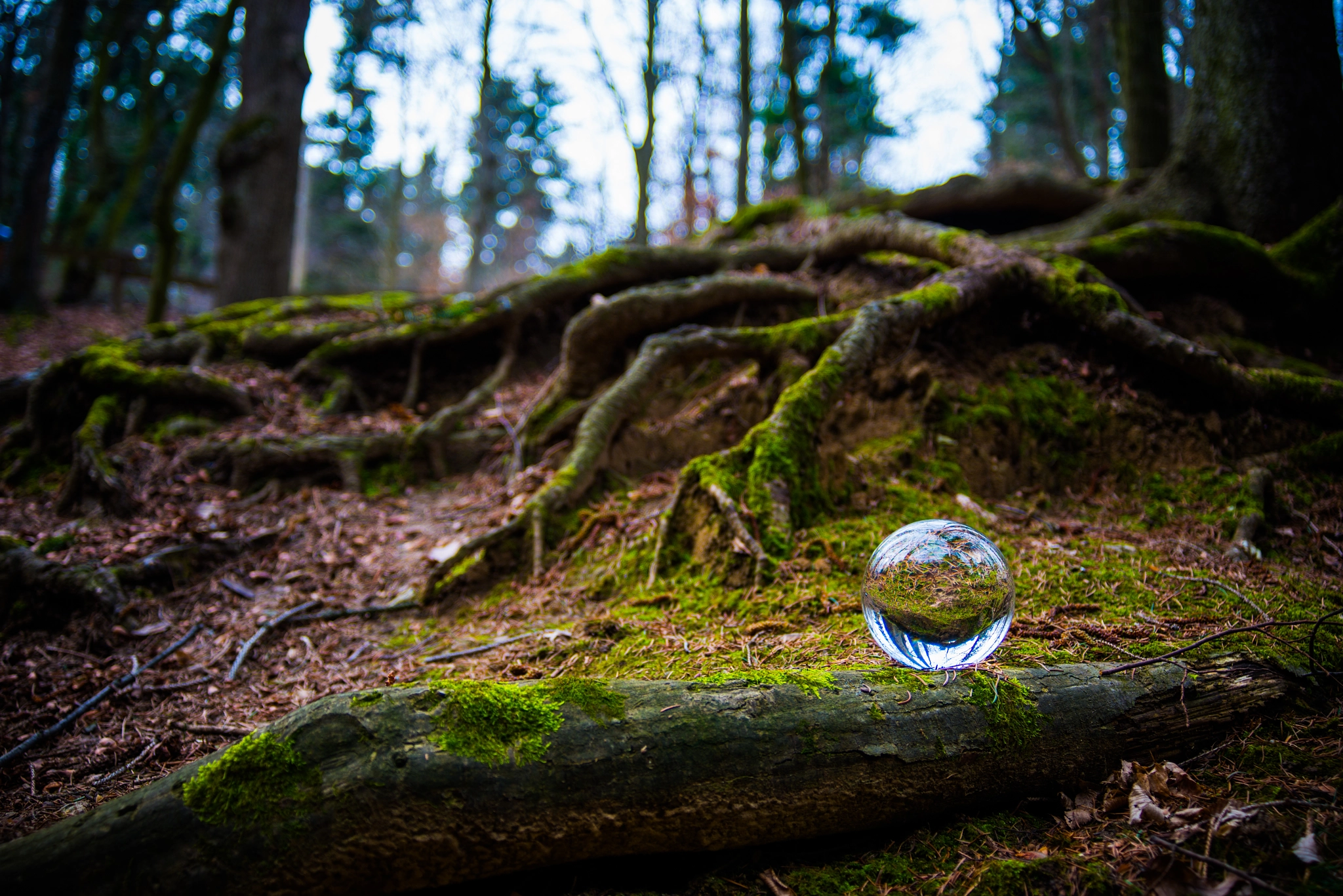 AF Zoom-Nikkor 28-80mm f/3.3-5.6G sample photo. Glassworld '2' photography