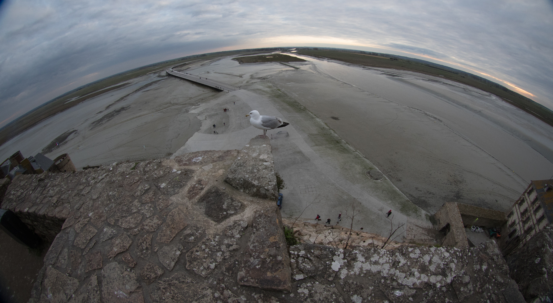 Canon EF 8-15mm F4L Fisheye USM sample photo. Mont st michel photography