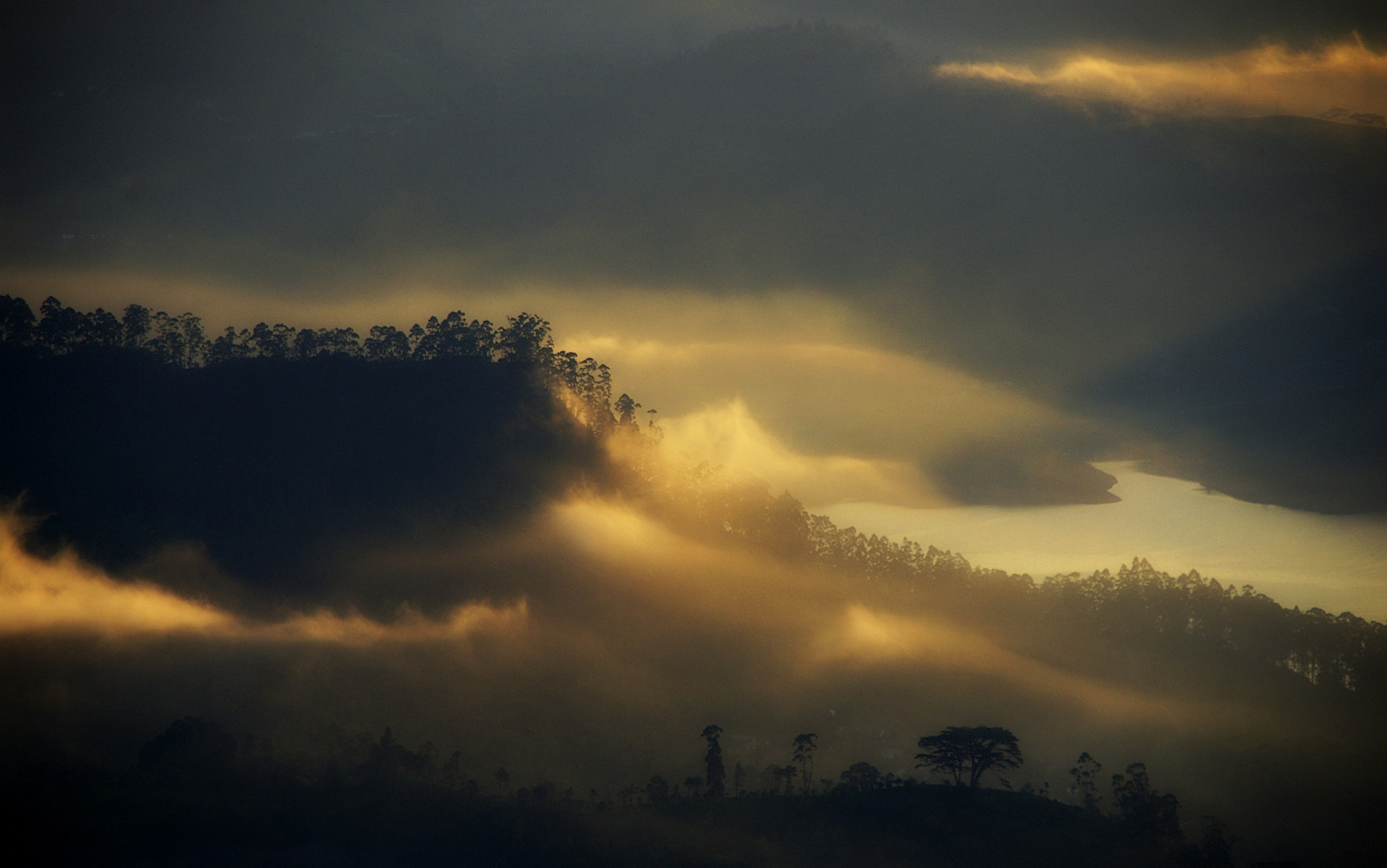 Pentax *ist DS sample photo. Jungle mist photography