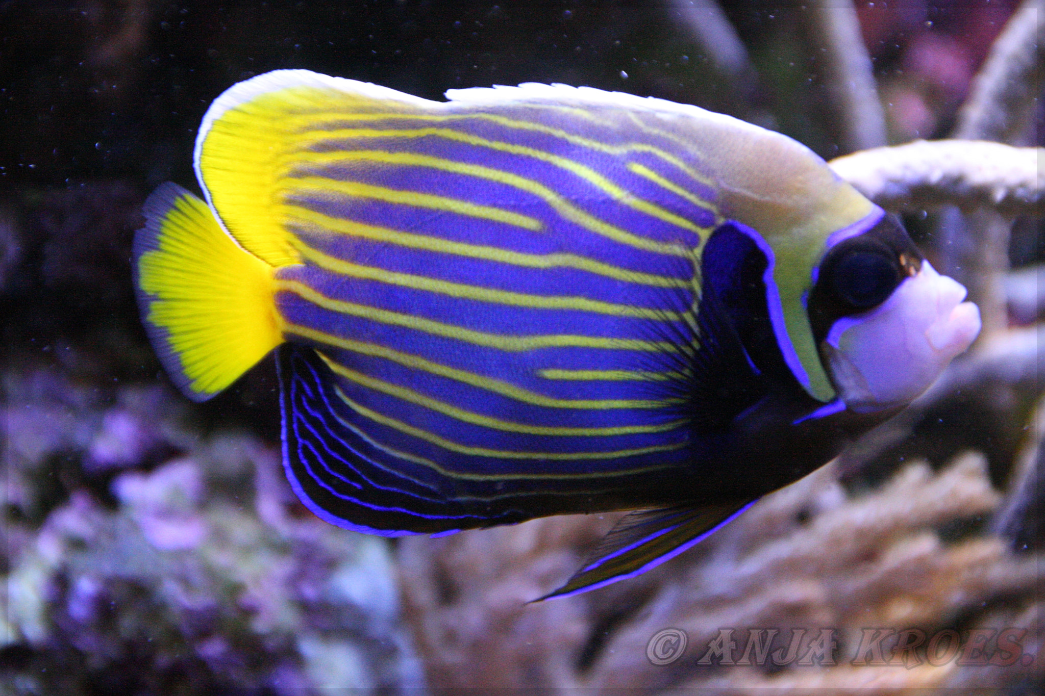 Canon EOS-1D Mark III sample photo