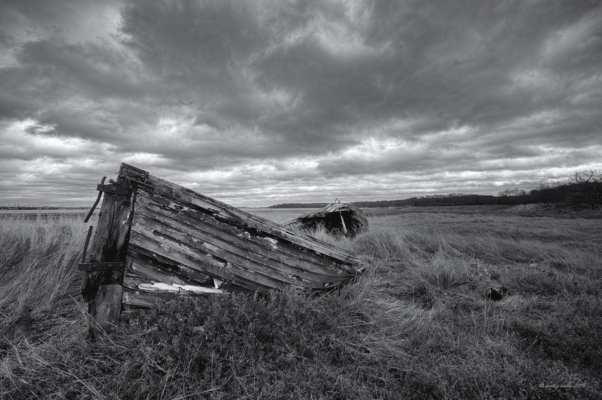 Sigma AF 10-20mm F4-5.6 EX DC sample photo. Marooned on a green sea photography