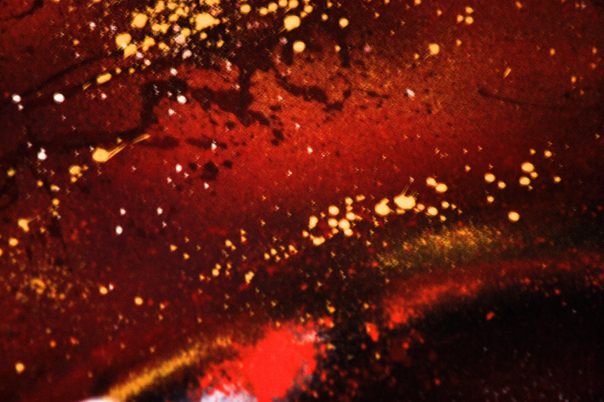 Canon EF 90-300mm F4.5-5.6 sample photo. Red art abstract photography
