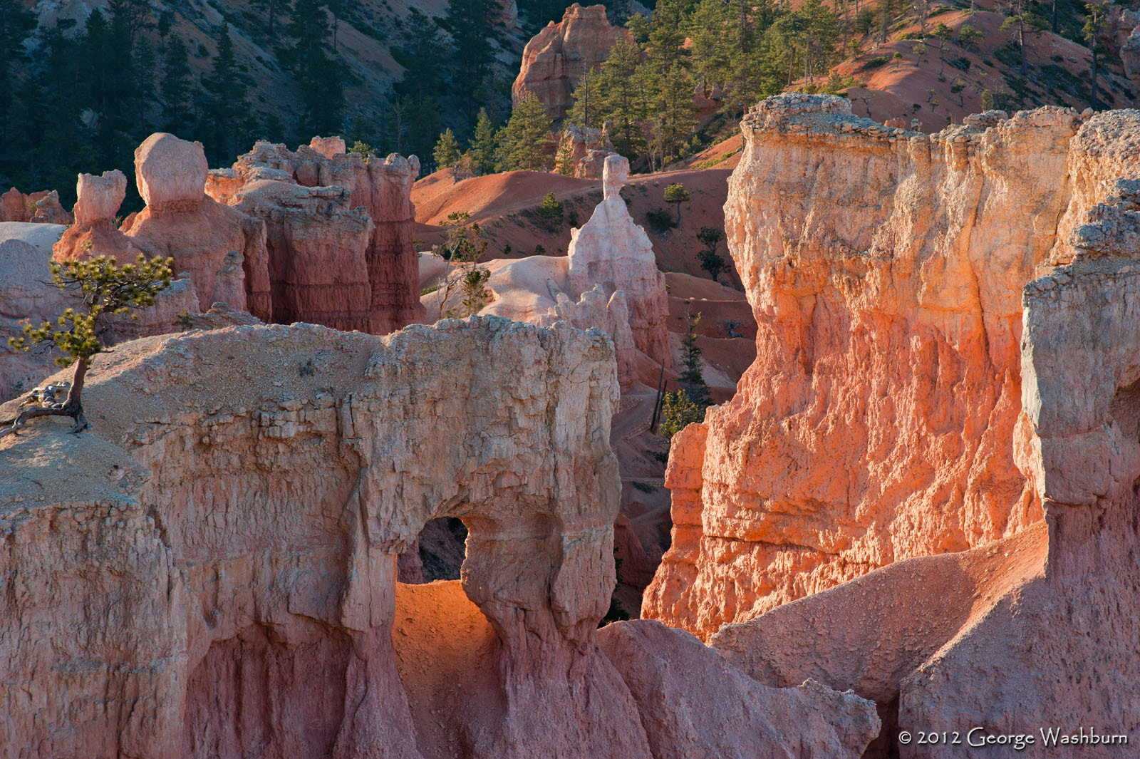 Nikon D700 + Nikon AF Nikkor 180mm F2.8D ED-IF sample photo. Sunrise point, bryce np photography