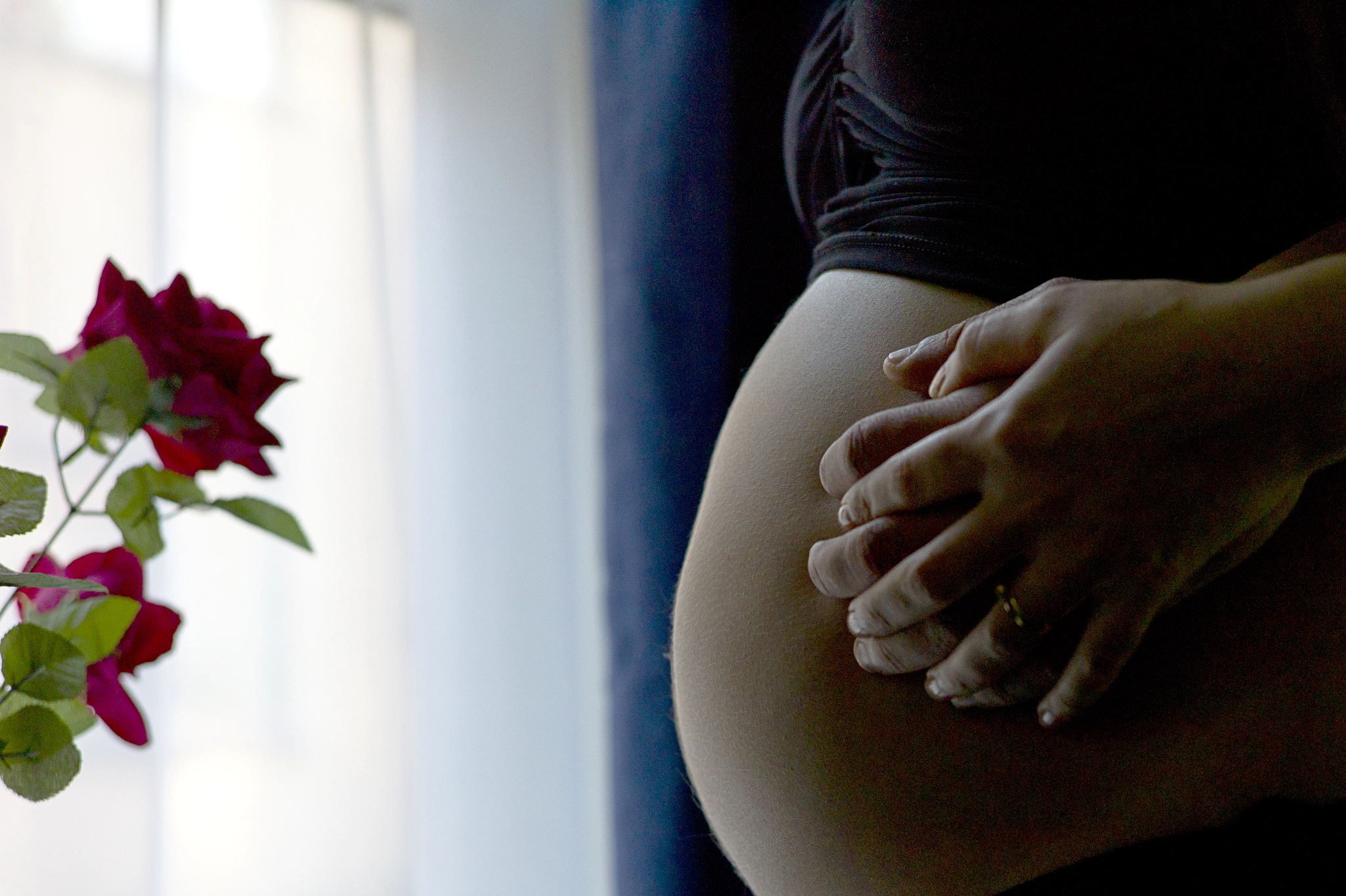 Leica M9 + Leica Summarit-M 50mm F2.5 sample photo. Pregnant woman belly with the window with roses and her husband's hand. color photo... photography