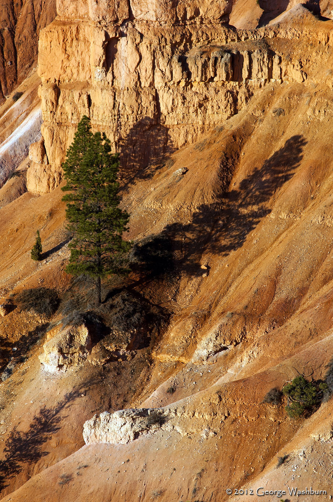 Nikon AF Nikkor 180mm F2.8D ED-IF sample photo. Sunrise point, bryce np photography