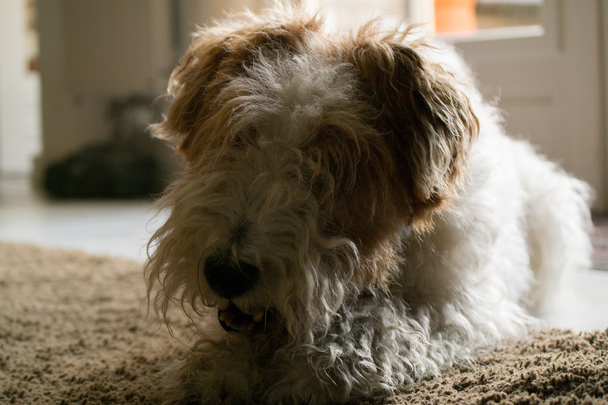 Samsung NX300M + Samsung NX 50-200mm F4-5.6 ED OIS sample photo. Sam_0640.jpg photography
