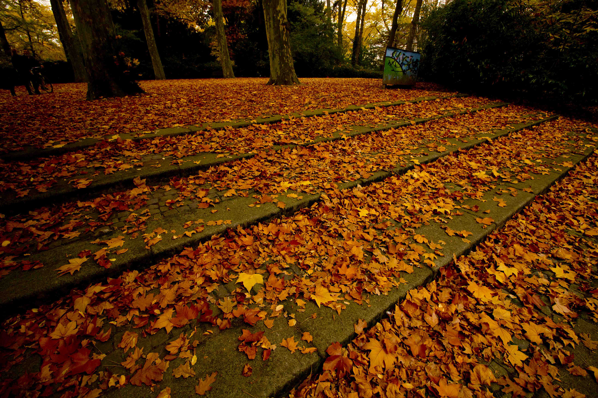 Canon EF-S 10-18mm F4.5–5.6 IS STM sample photo. Autumn photography